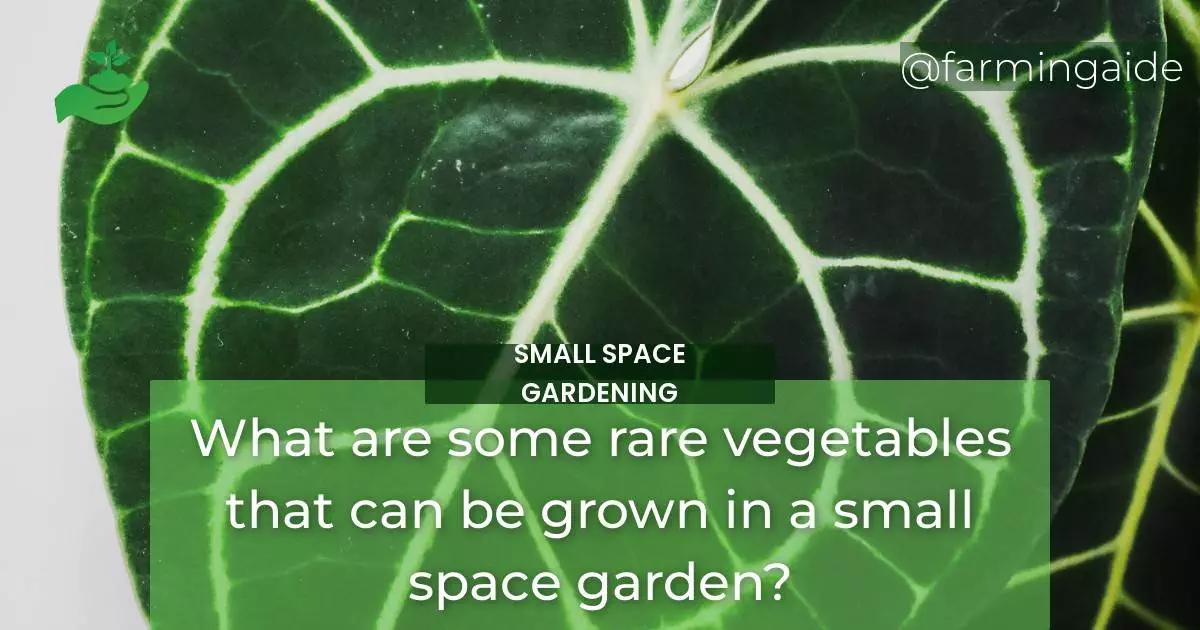 What are some rare vegetables that can be grown in a small space garden?