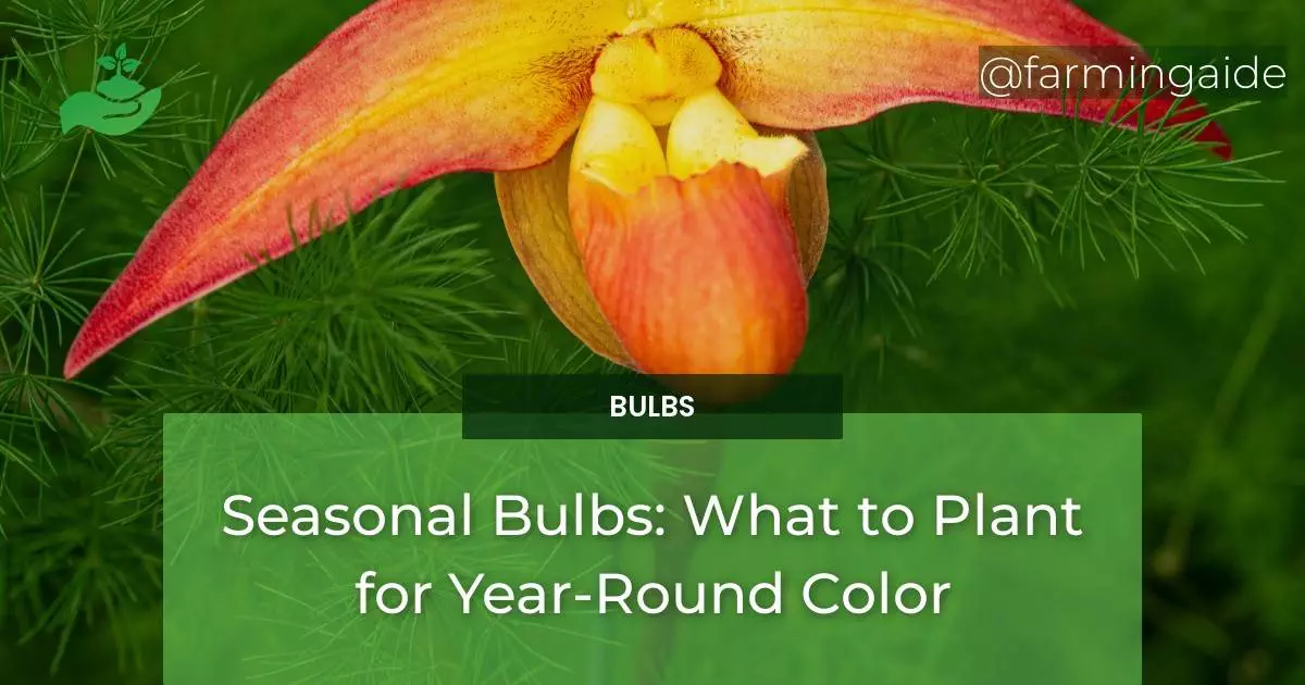 Seasonal Bulbs: What to Plant for Year-Round Color