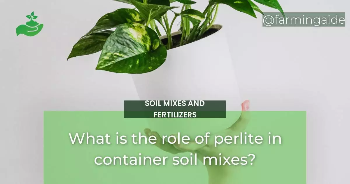 What is the role of perlite in container soil mixes?
