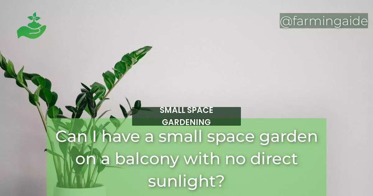 Can I have a small space garden on a balcony with no direct sunlight?