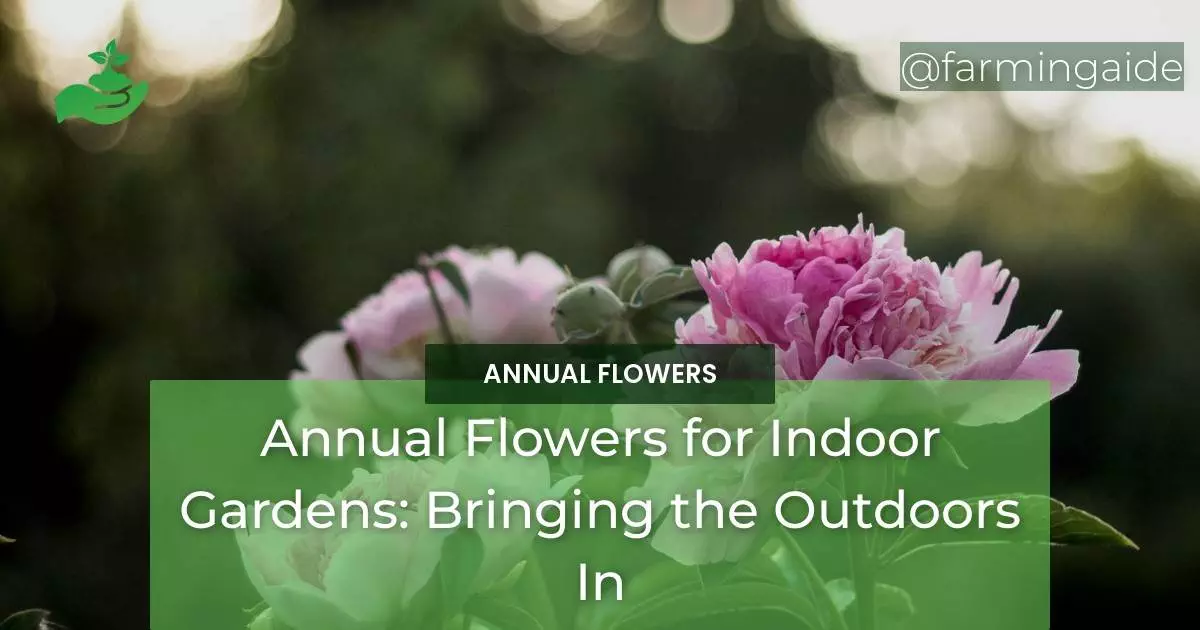 Annual Flowers for Indoor Gardens: Bringing the Outdoors In