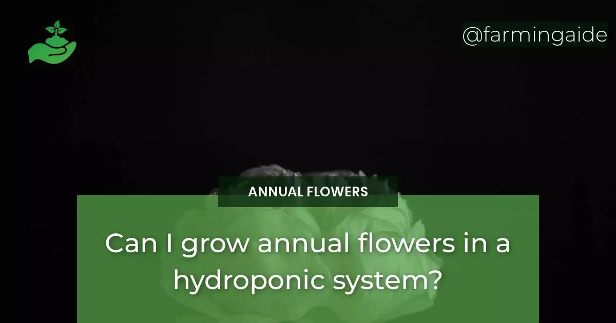 Can I grow annual flowers in a hydroponic system?