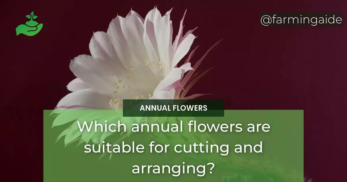 Which annual flowers are suitable for cutting and arranging?