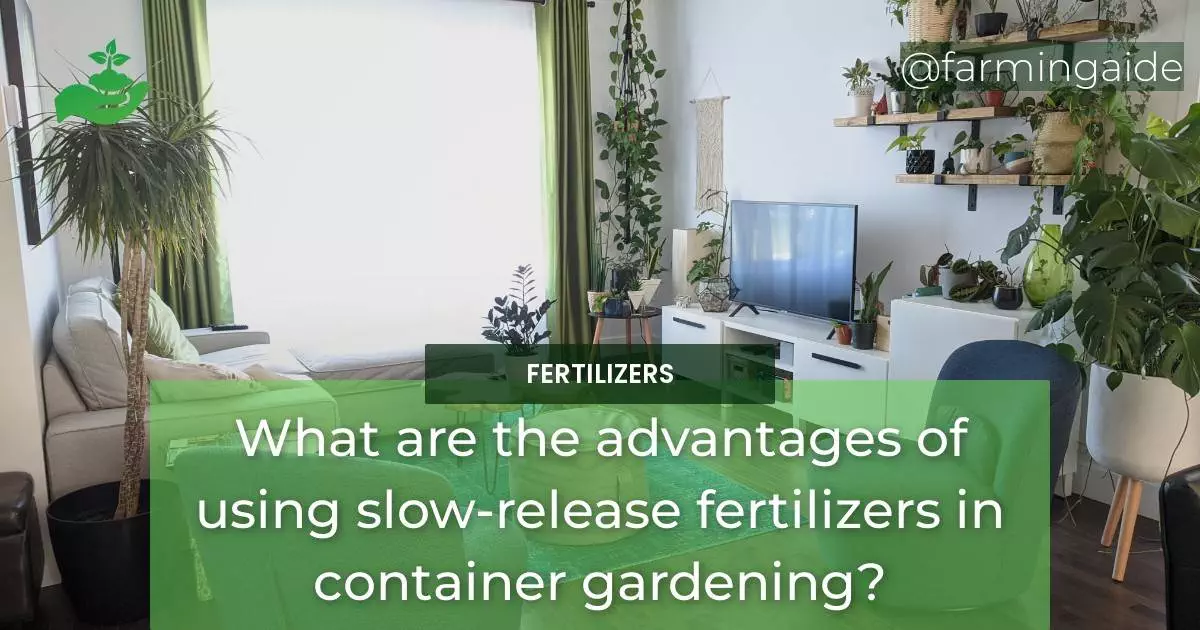 What are the advantages of using slow-release fertilizers in container gardening?