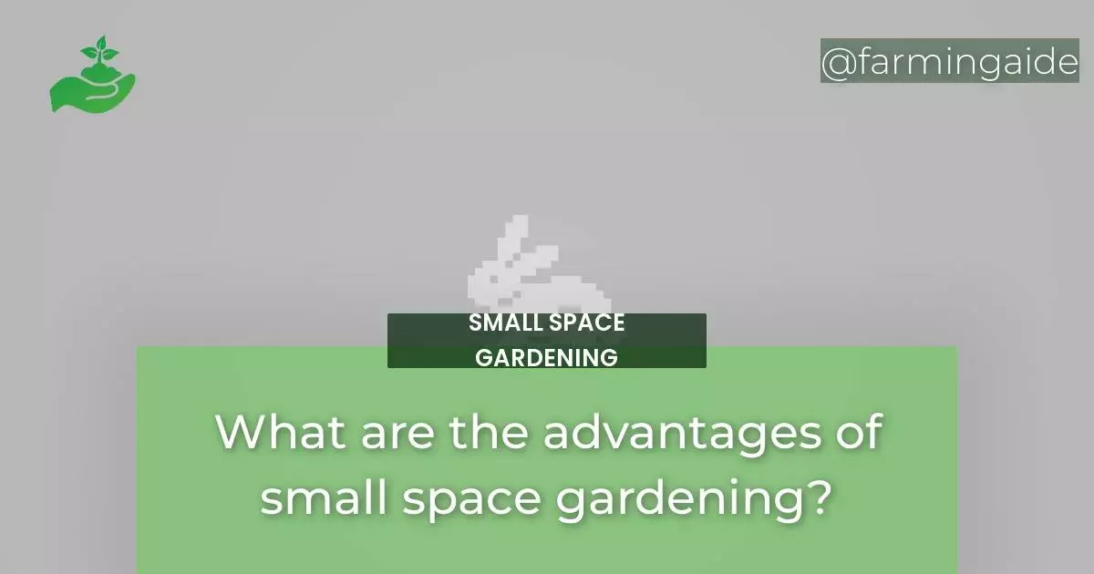 What are the advantages of small space gardening?