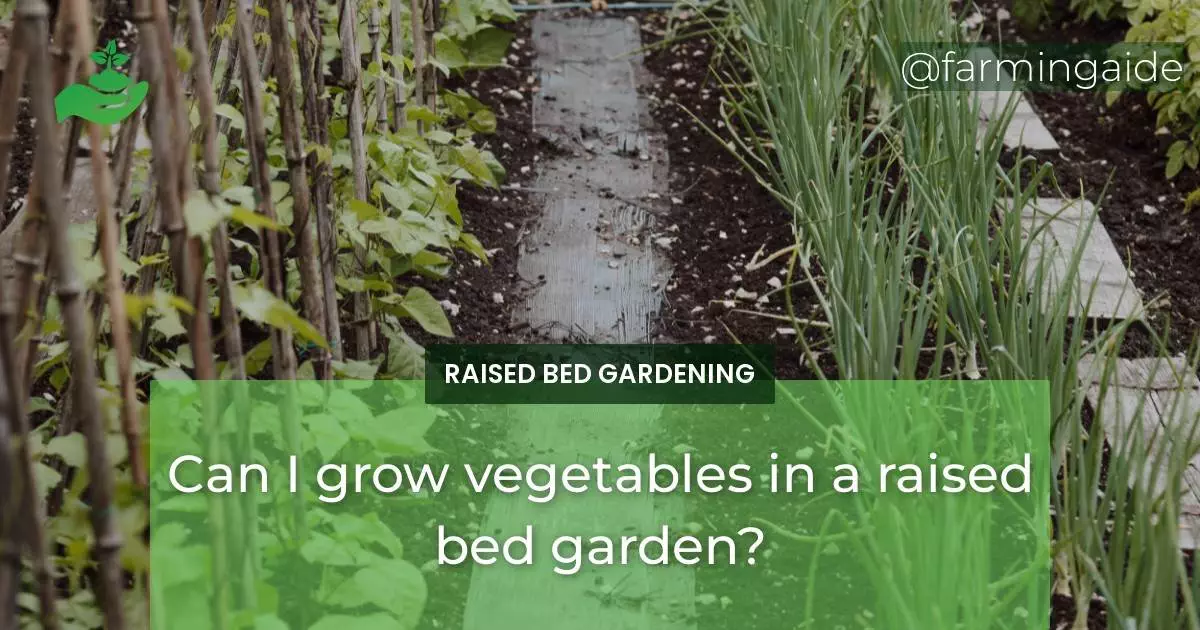 Can I grow vegetables in a raised bed garden?