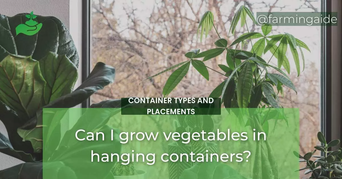 Can I grow vegetables in hanging containers?