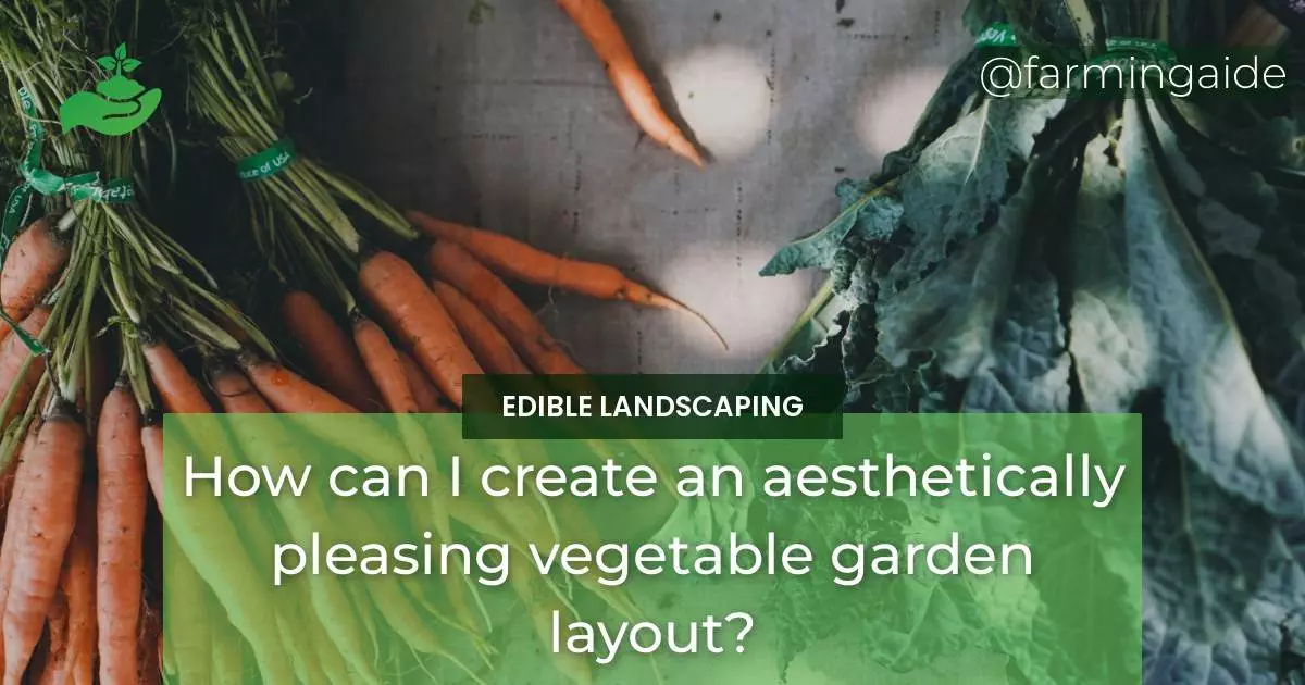 How can I create an aesthetically pleasing vegetable garden layout?