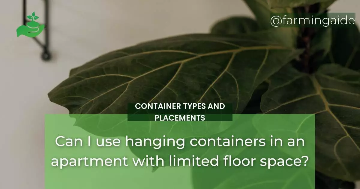 Can I use hanging containers in an apartment with limited floor space?