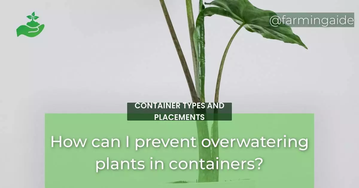 How can I prevent overwatering plants in containers?