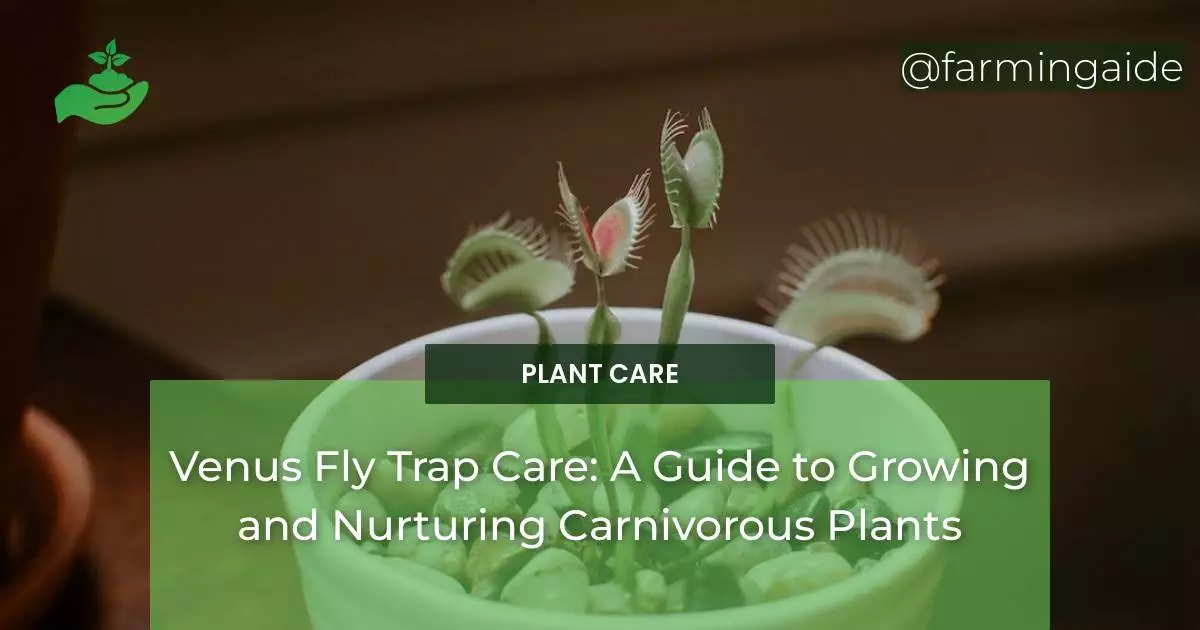 Venus Fly Trap Care: A Guide to Growing and Nurturing Carnivorous Plants