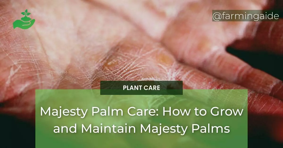 Majesty Palm Care: How to Grow and Maintain Majesty Palms