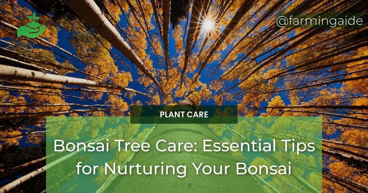 Bonsai Tree Care: Essential Tips for Nurturing Your Bonsai
