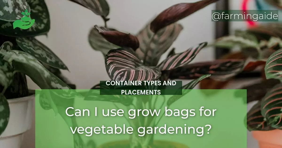 Can I use grow bags for vegetable gardening?