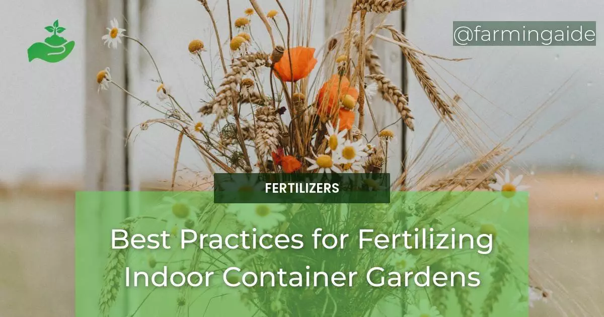 Best Practices for Fertilizing Indoor Container Gardens