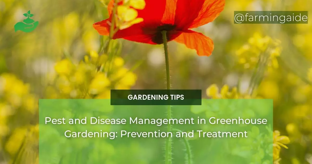Pest and Disease Management in Greenhouse Gardening: Prevention and Treatment