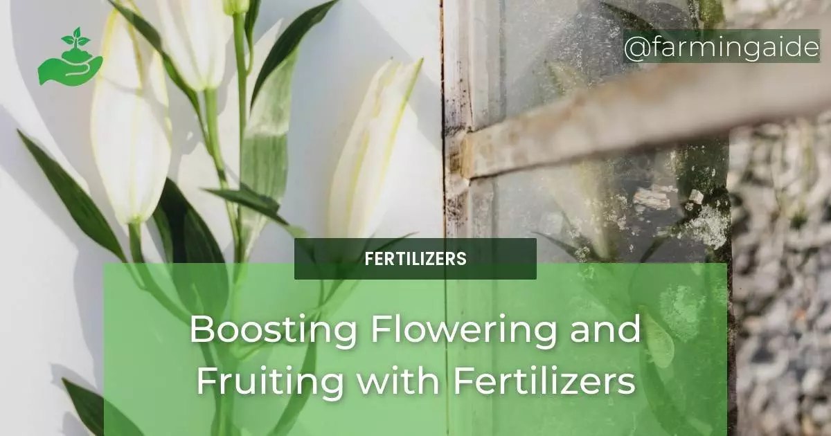 Boosting Flowering and Fruiting with Fertilizers