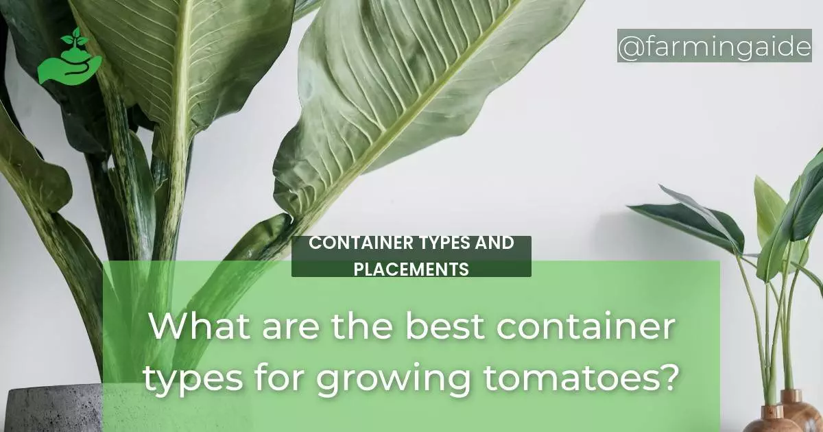 What are the best container types for growing tomatoes?