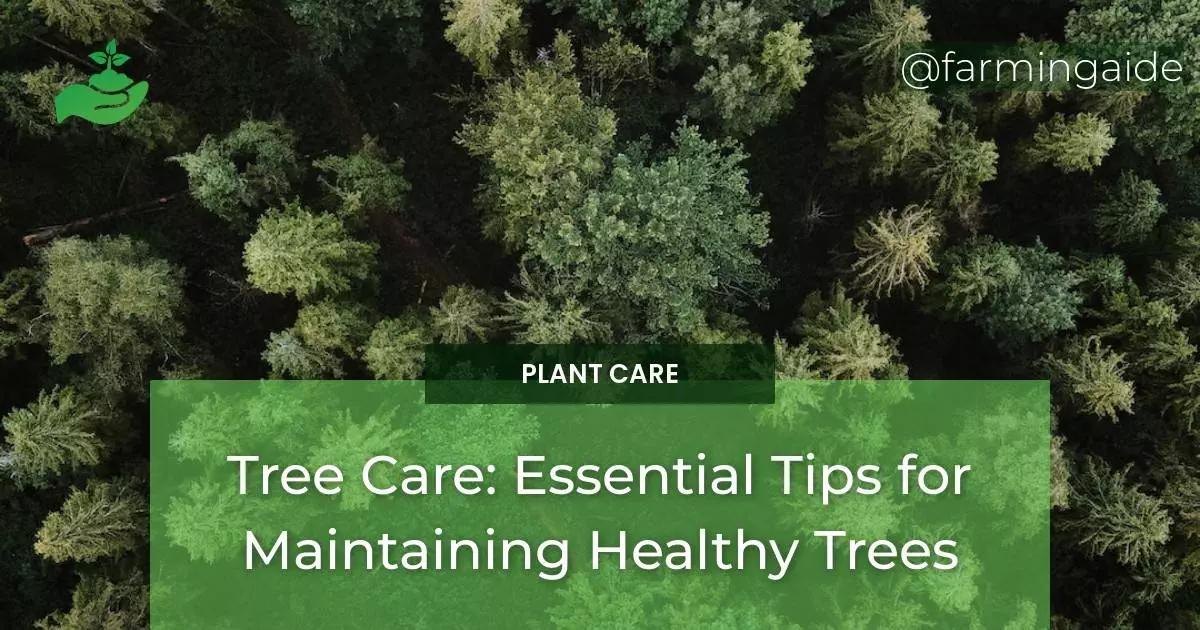 Tree Care: Essential Tips for Maintaining Healthy Trees