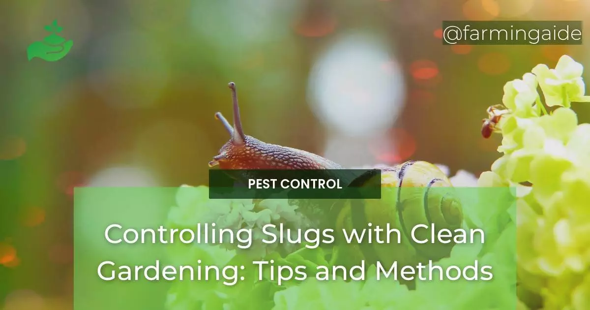 Controlling Slugs with Clean Gardening: Tips and Methods
