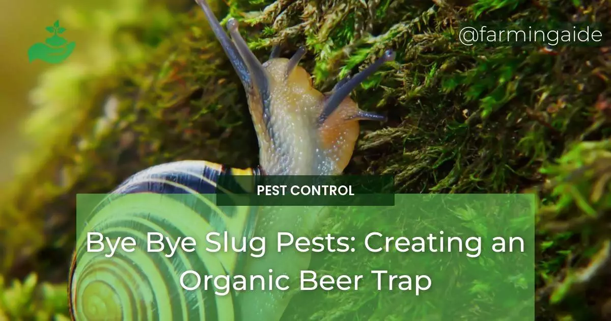 Bye Bye Slug Pests: Creating an Organic Beer Trap