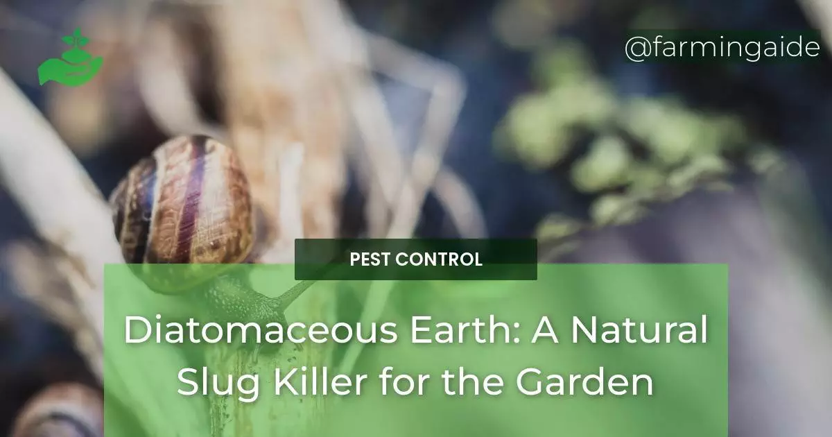 Diatomaceous Earth: A Natural Slug Killer for the Garden
