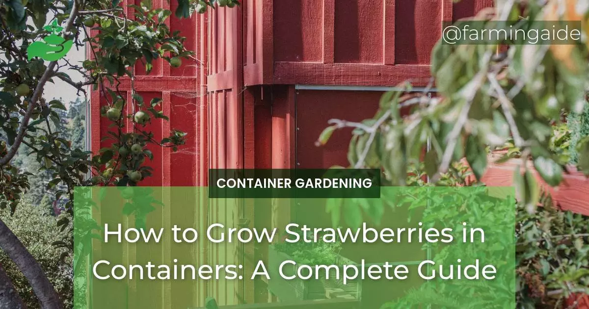 How to Grow Strawberries in Containers: A Complete Guide