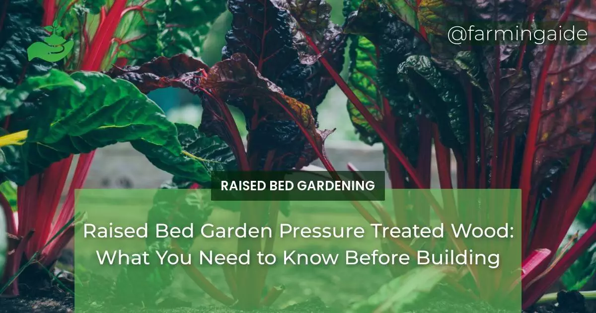 Raised Bed Garden Pressure Treated Wood: What You Need to Know Before Building