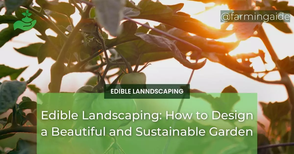 Edible Landscaping: How to Design a Beautiful and Sustainable Garden