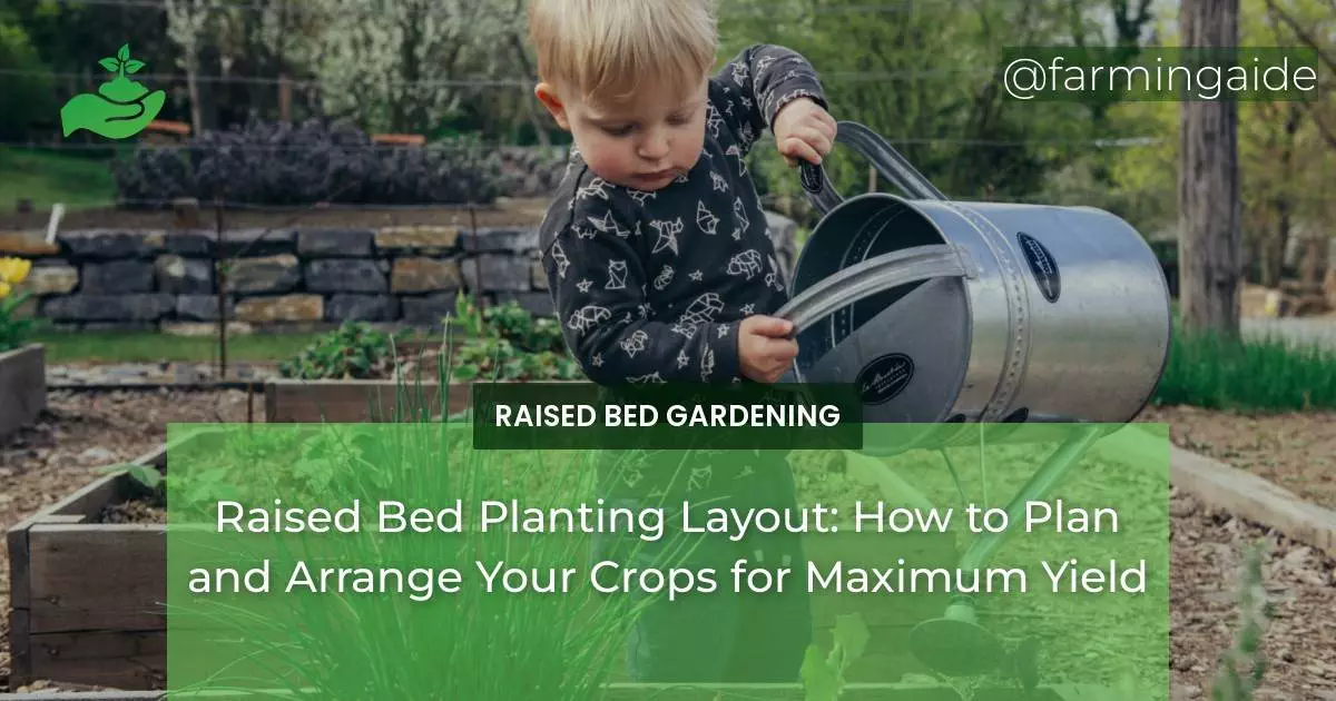 Raised Bed Planting Layout: How to Plan and Arrange Your Crops for Maximum Yield