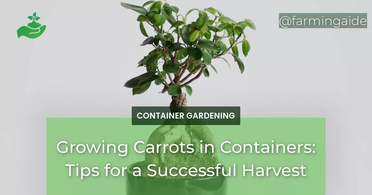Growing Carrots in Containers: Tips for a Successful Harvest