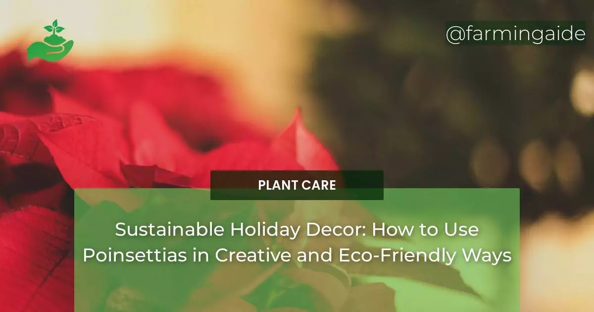 Sustainable Holiday Decor: How to Use Poinsettias in Creative and Eco-Friendly Ways