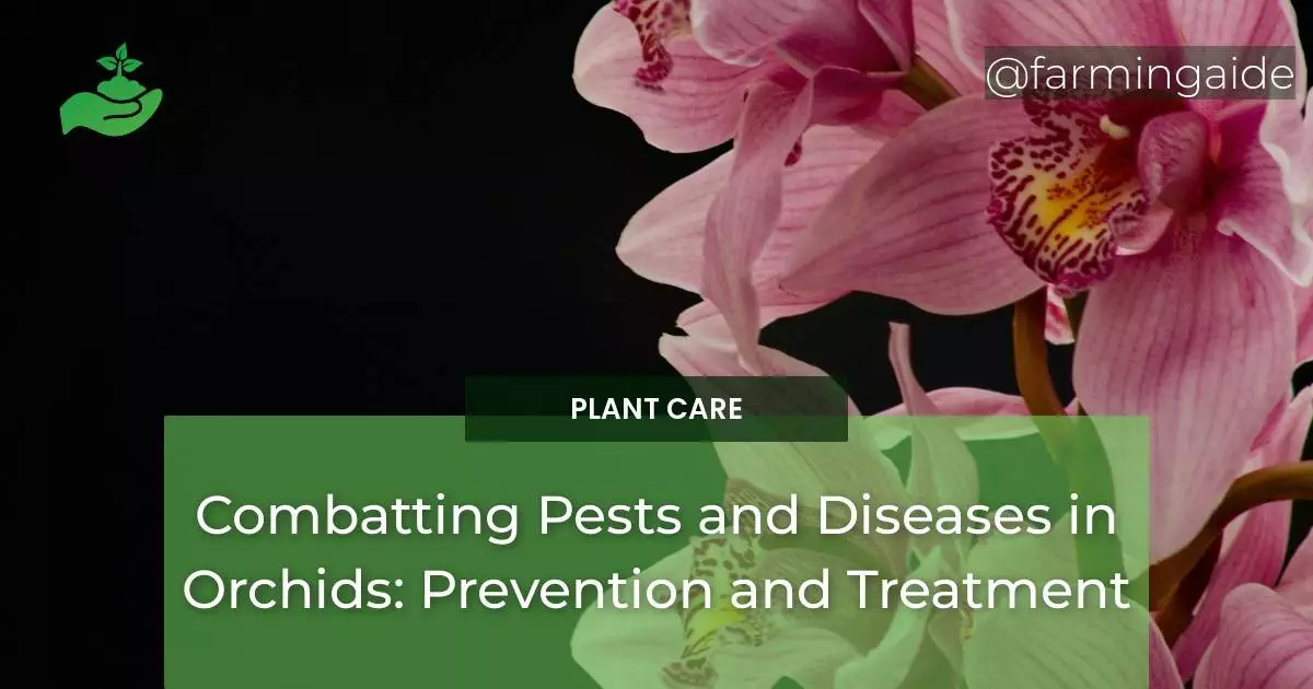 Combatting Pests and Diseases in Orchids: Prevention and Treatment