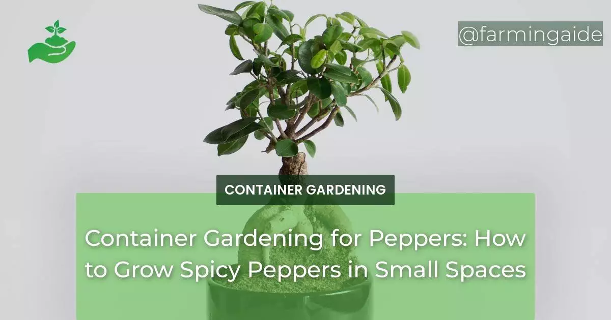 Container Gardening for Peppers: How to Grow Spicy Peppers in Small Spaces