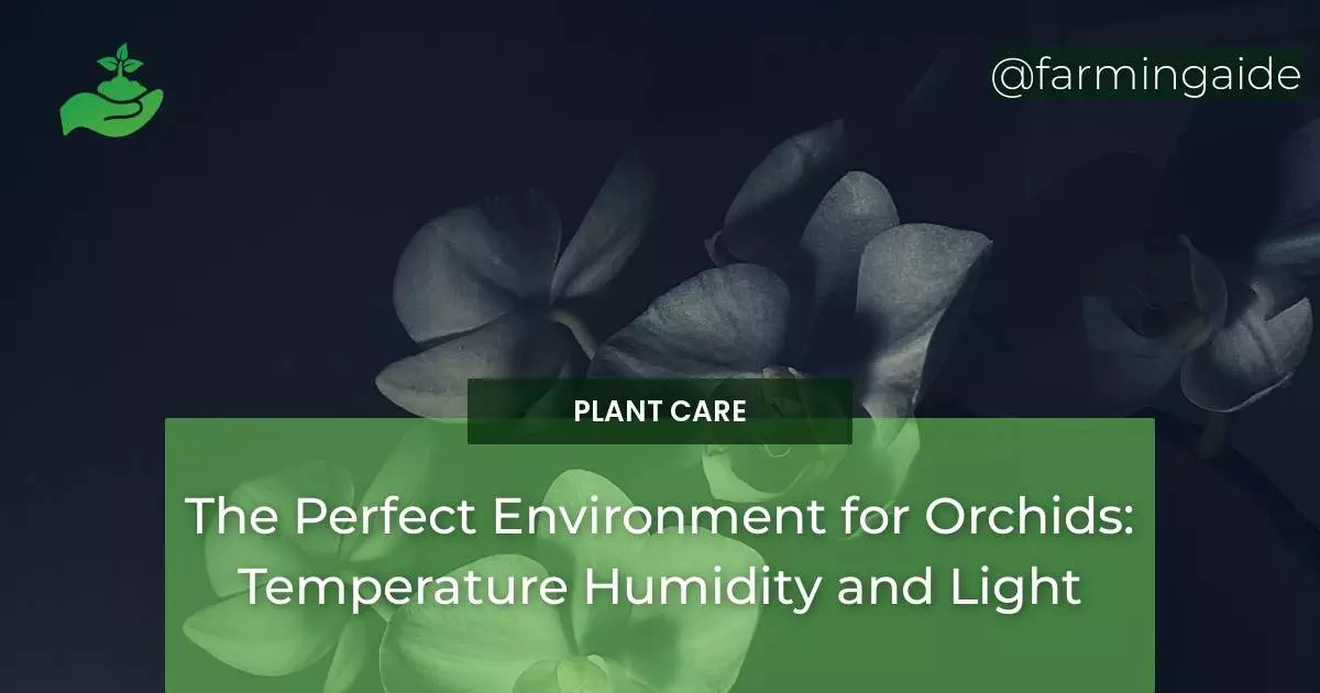The Perfect Environment for Orchids: Temperature Humidity and Light