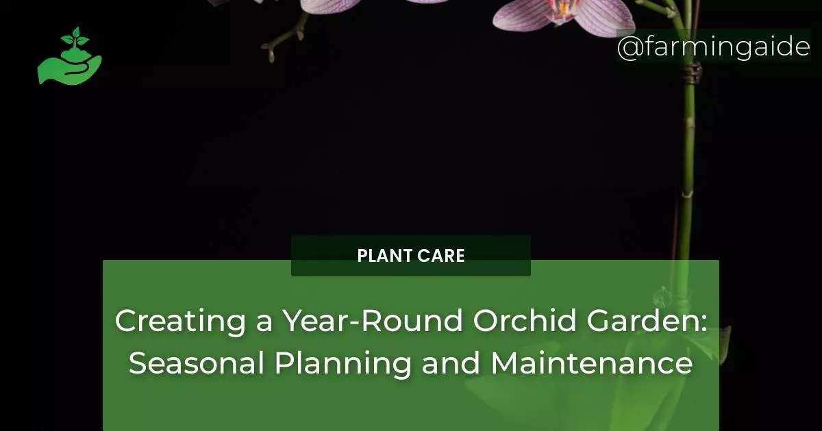 Creating a Year-Round Orchid Garden: Seasonal Planning and Maintenance