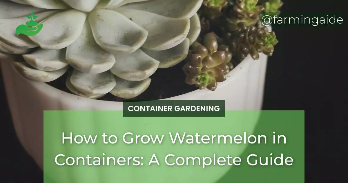 How to Grow Watermelon in Containers: A Complete Guide