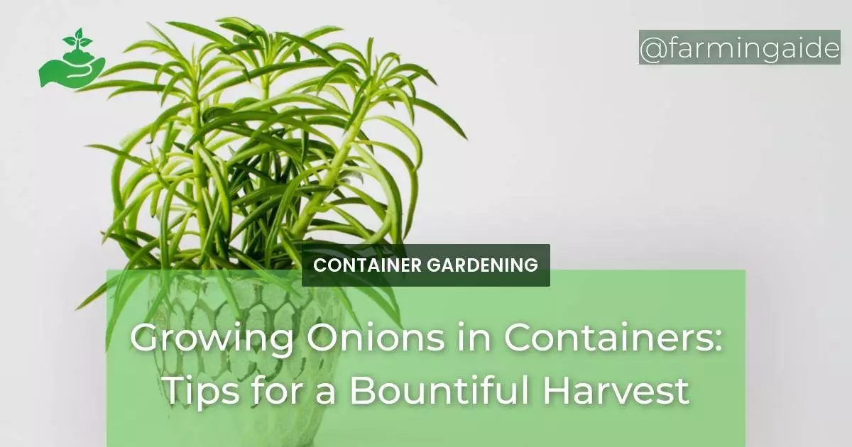 Growing Onions in Containers: Tips for a Bountiful Harvest