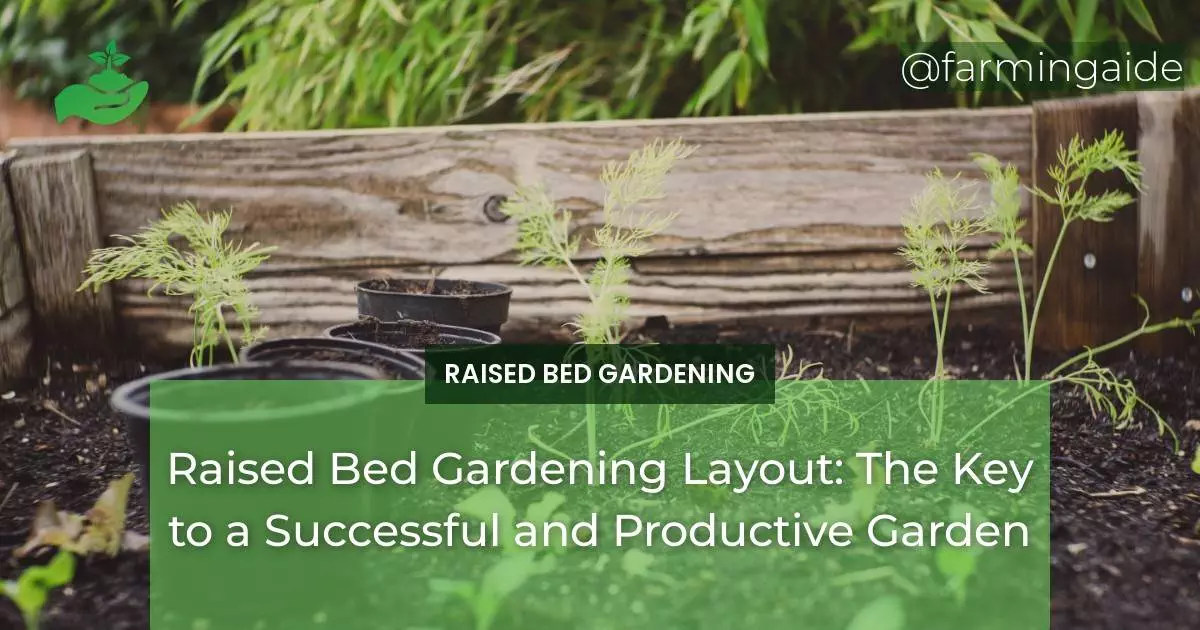 Raised Bed Gardening Layout: The Key to a Successful and Productive Garden