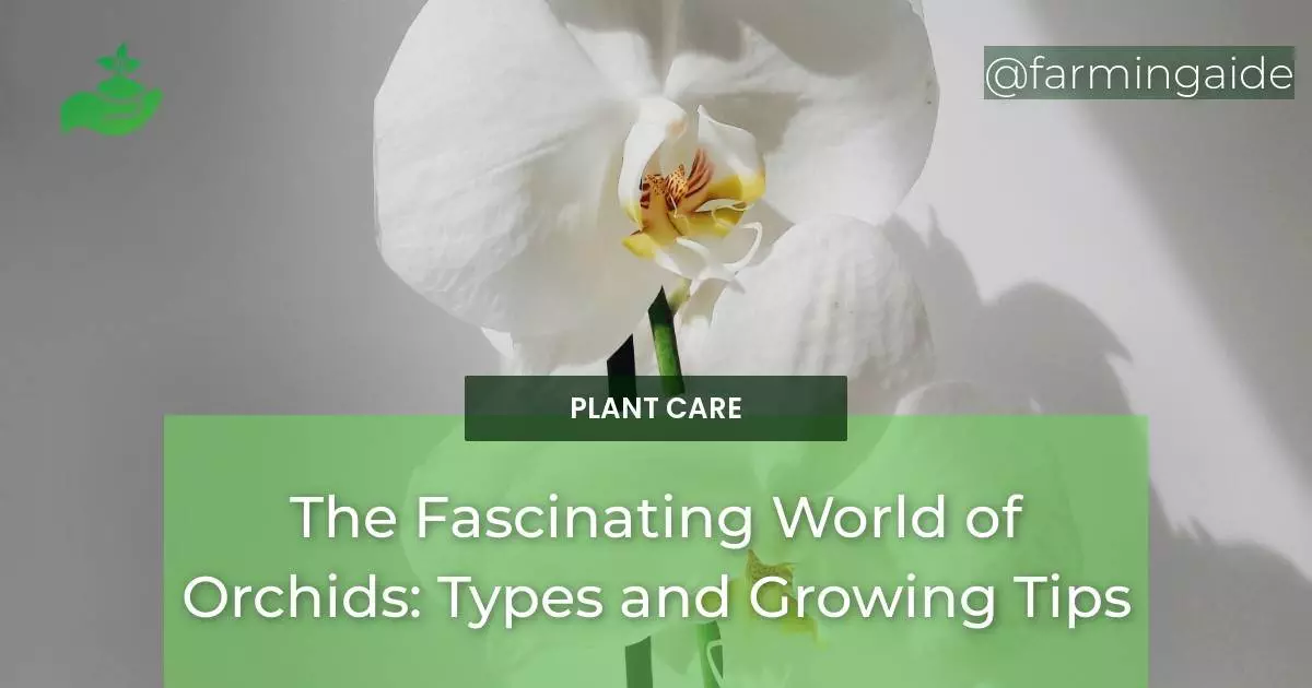 The Fascinating World of Orchids: Types and Growing Tips