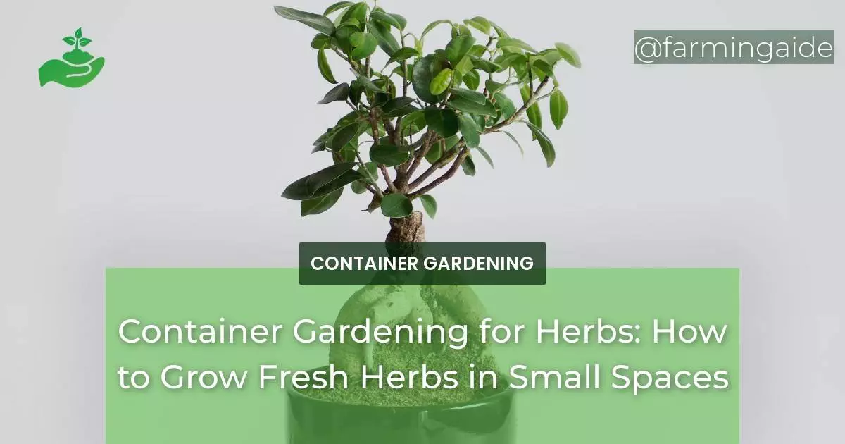 Container Gardening for Herbs: How to Grow Fresh Herbs in Small Spaces