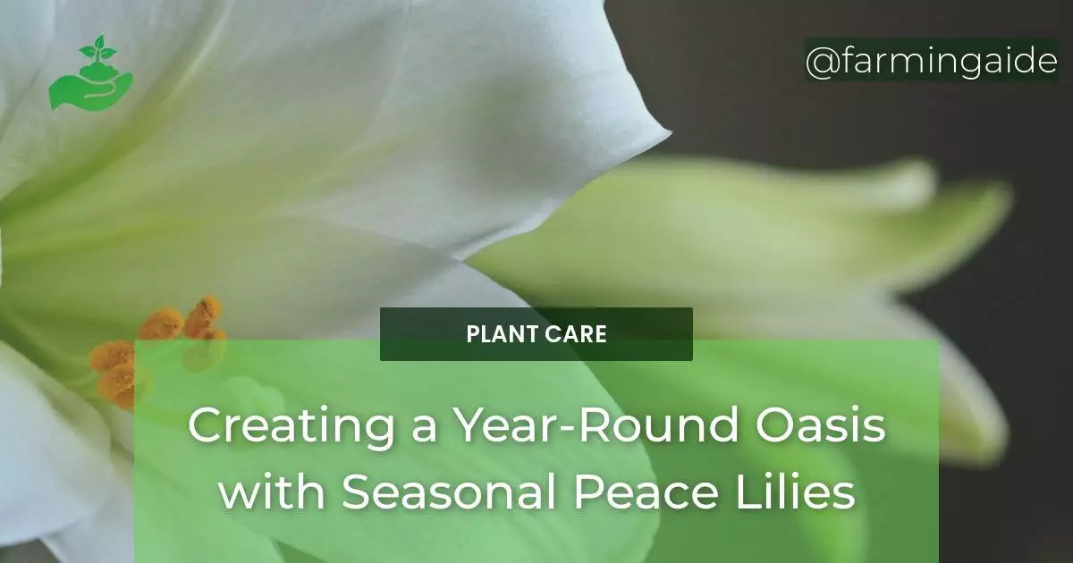 Creating a Year-Round Oasis with Seasonal Peace Lilies