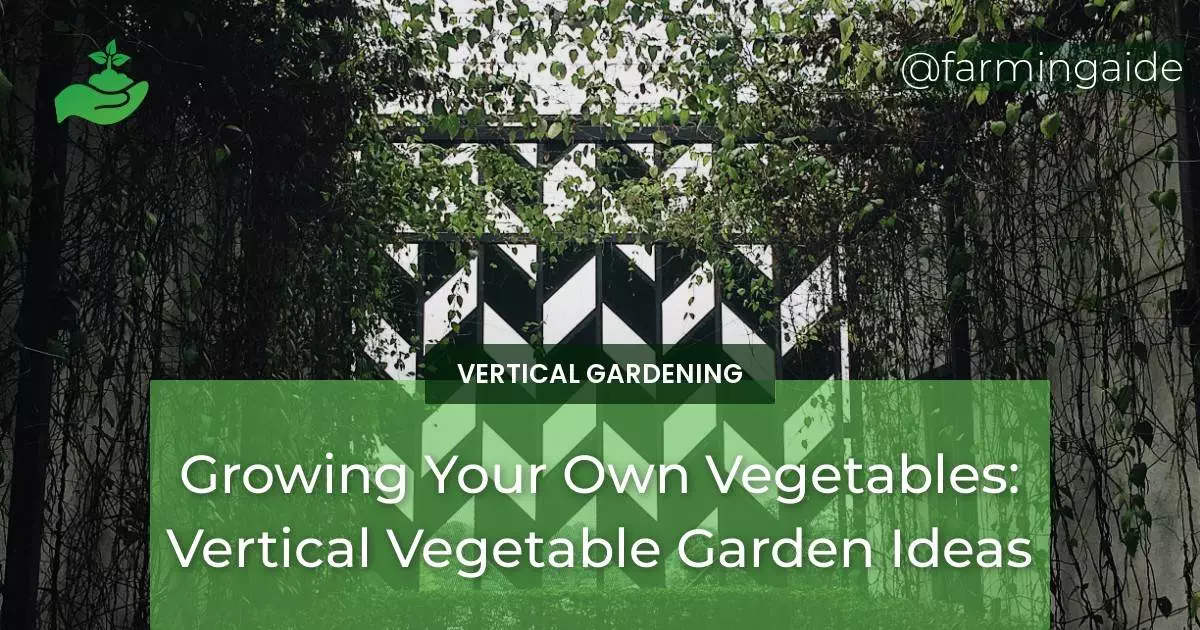 Growing Your Own Vegetables: Vertical Vegetable Garden Ideas