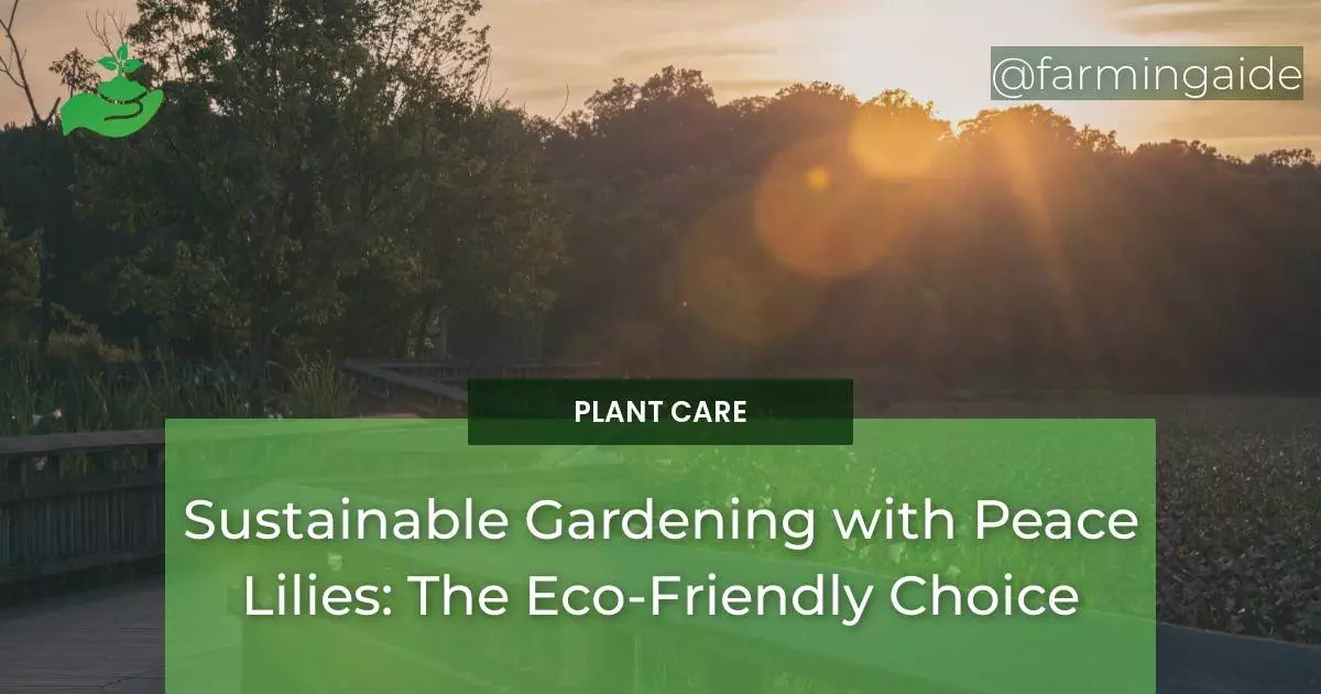 Sustainable Gardening with Peace Lilies: The Eco-Friendly Choice