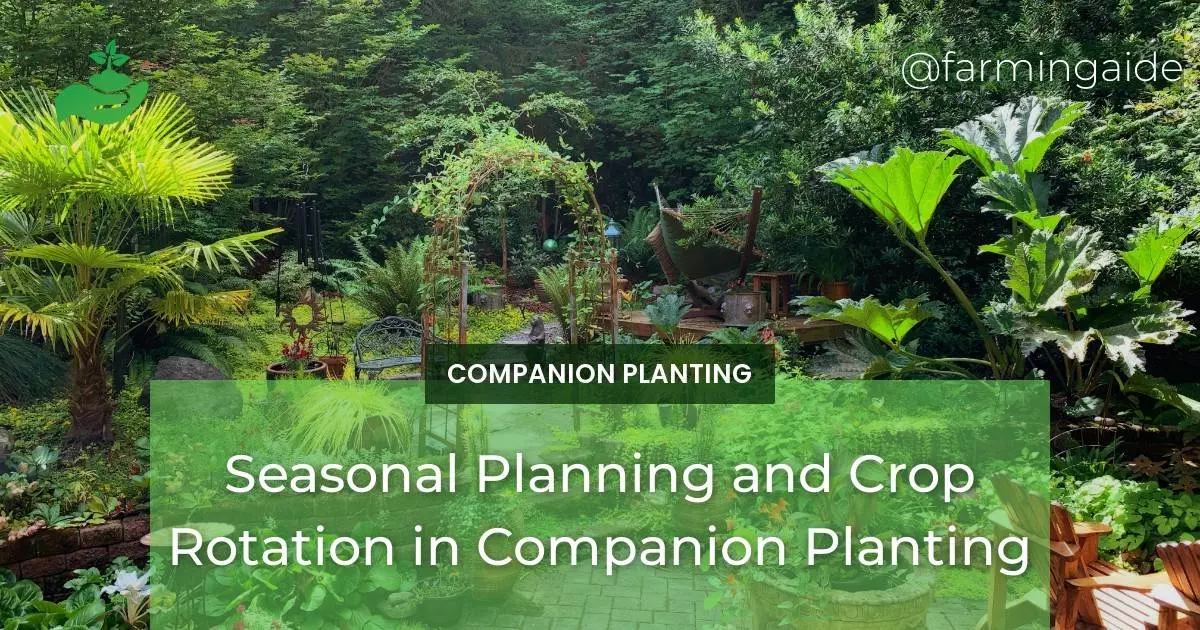 Seasonal Planning and Crop Rotation in Companion Planting