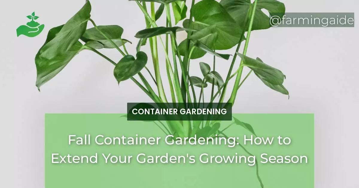 Fall Container Gardening: How to Extend Your Garden's Growing Season