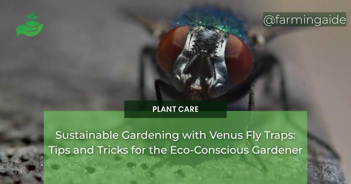 Sustainable Gardening with Venus Fly Traps: Tips and Tricks for the Eco-Conscious Gardener