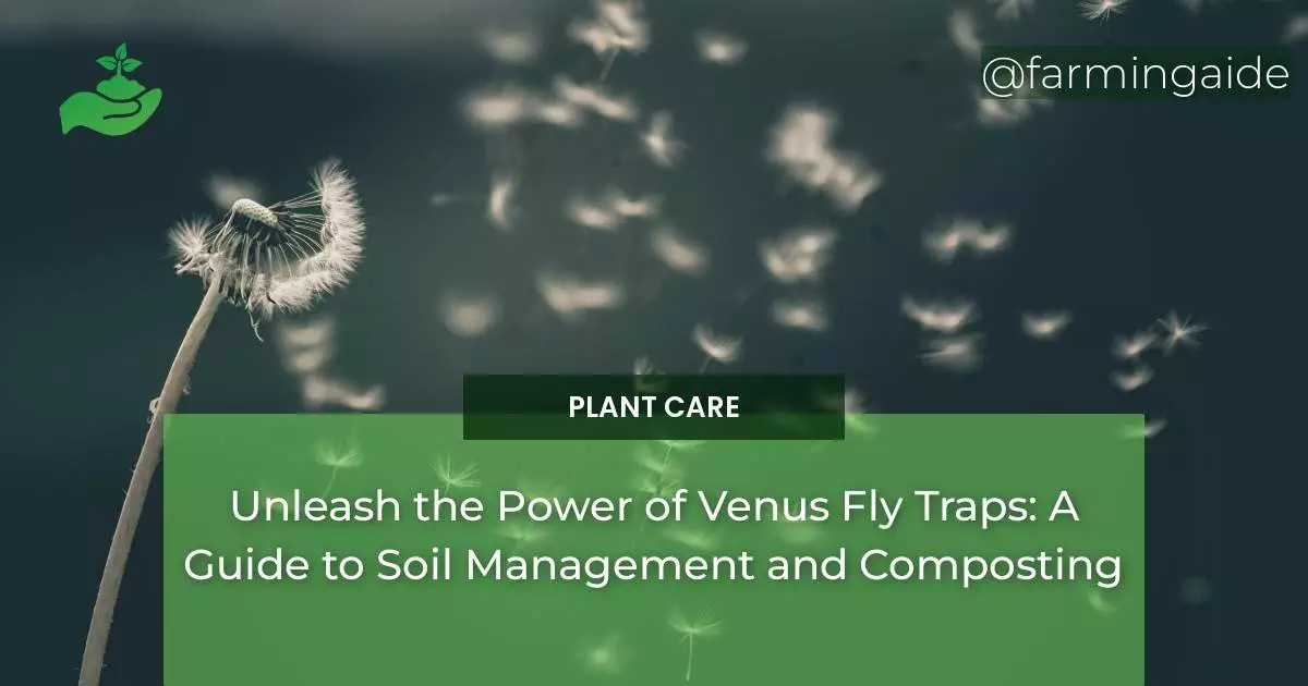 Unleash the Power of Venus Fly Traps: A Guide to Soil Management and Composting