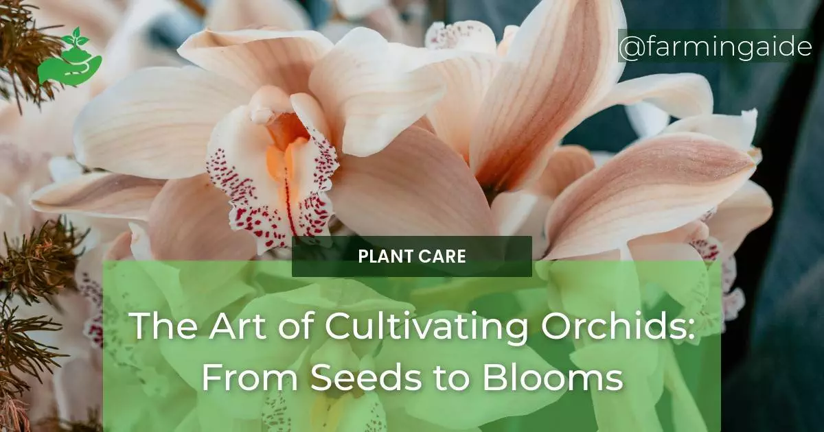 The Art of Cultivating Orchids: From Seeds to Blooms