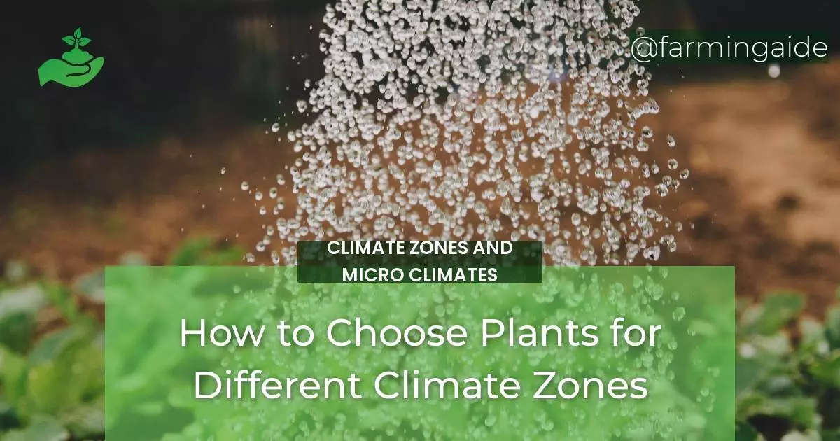 How to Choose Plants for Different Climate Zones